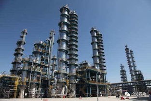 中石油下游業(yè)務(wù)堅(jiān)挺，一季度盈利或超百億元，附軟件開發(fā)企業(yè)名單